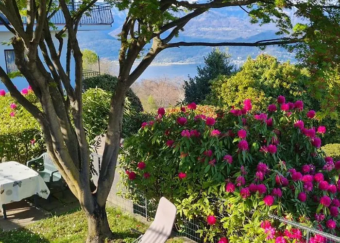 Belvedere 4 Apartament *