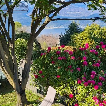 Belvedere 4 Apartment *