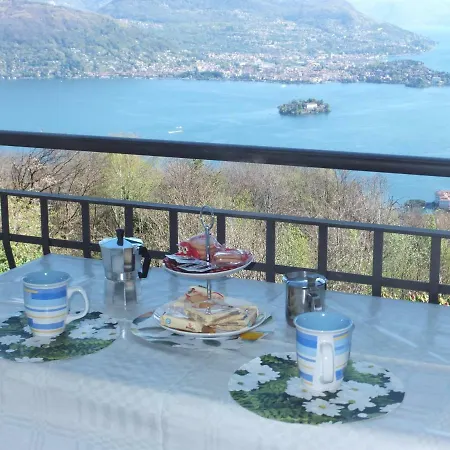 Belvedere 4